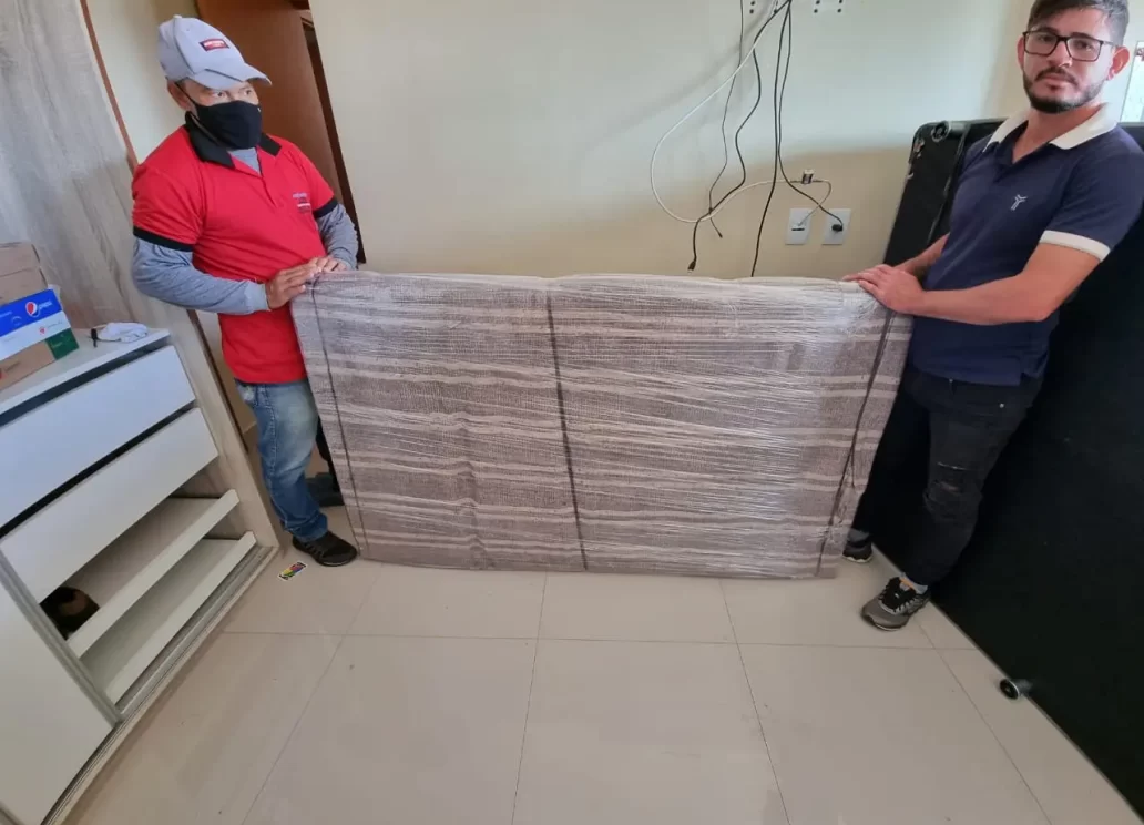 empresa de mudança que embala tudo df
